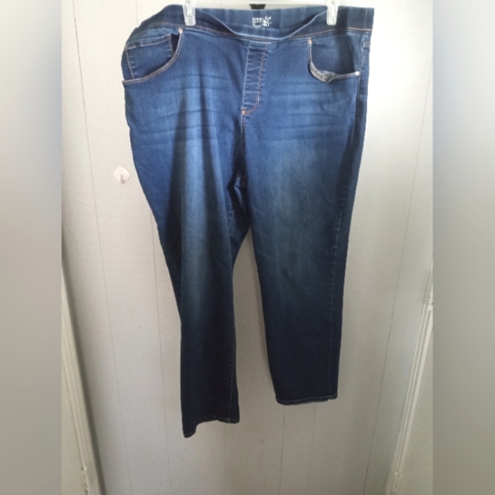 Terra & Sky Plus Size Jeans
